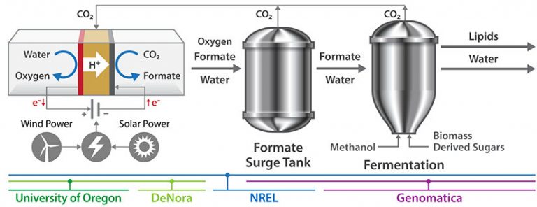 Development of CO2-free fermentation technology amid surging demand for ... - Scientists To Develop 768x296