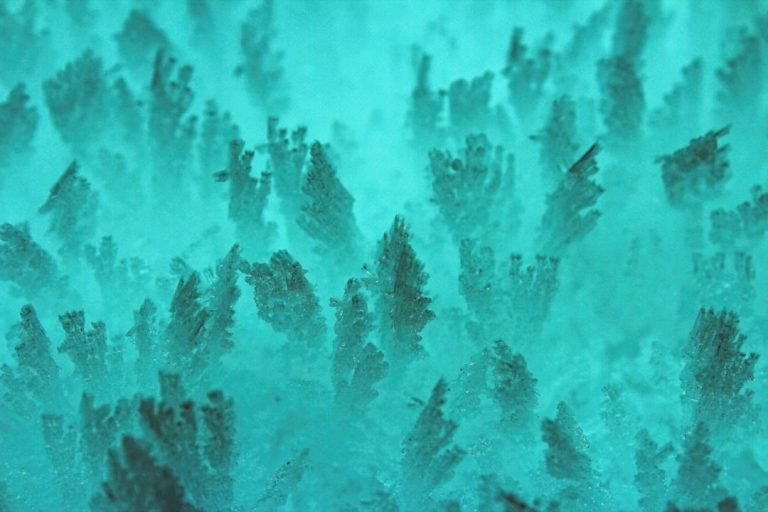 Battery Revolution Creates Massive Nickel Sulfate Opportunity for Strategic Investors