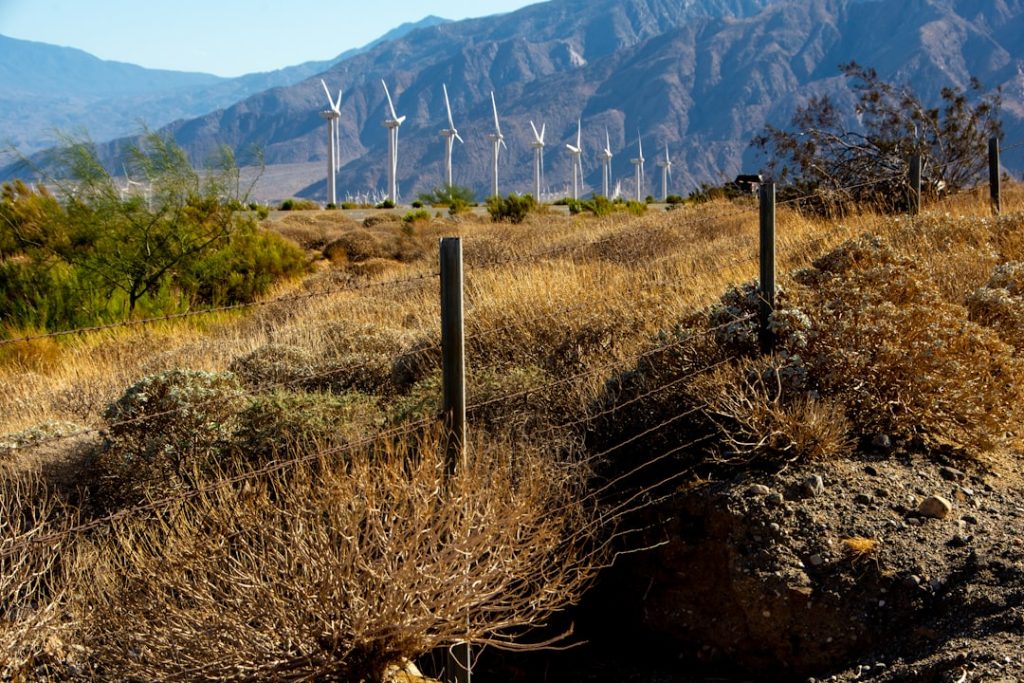 Record Investments Drive Unprecedented Momentum in Global Clean Energy Transformation